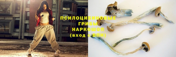 шишки Богородск