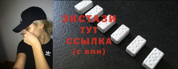 дмт Богородицк