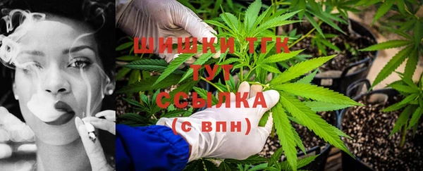дмт Богородицк