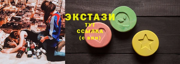 дмт Богородицк