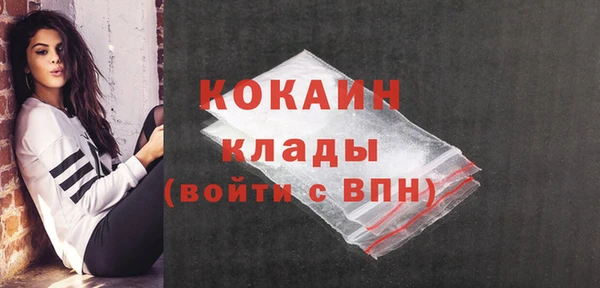 дмт Богородицк