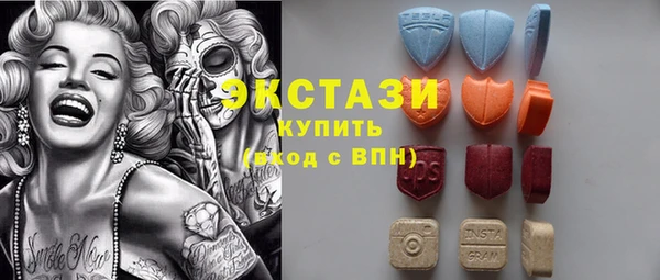дмт Богородицк