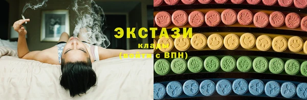 дмт Богородицк